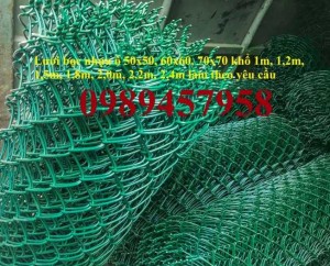 Lưới hàng rào B10, B20, B30, Hàng rào chăn nuôi mạ kẽm, Bọc nhựa 20x20, 30x30