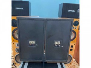 Loa Cerwin vega D3, 125w, usa