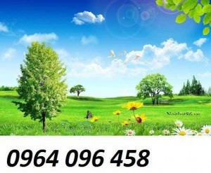 Gạch tranh 3d cảnh thiên nhiên - VNB54