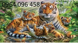 Tranh gạch 3d hợp tuổi dần - CB54