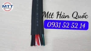 Kẹp cuối ray c cầu trục - kẹp cố định cáp dẹt ray c cầu trục