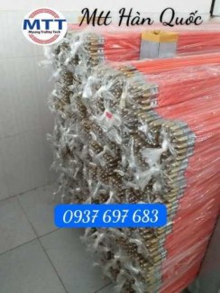Ray điện cầu trục 60a