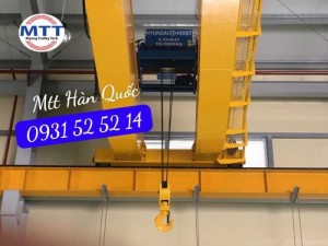 Ray điện cầu trục 200a