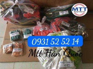 Ray điện hàn quốc 300a