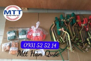 Ray điện hàn quốc 300a