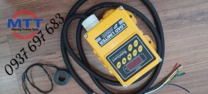 Bộ bảo vệ quá tải palang cầu trục