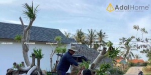 Tấm lợp bitum cana, tấm lợp dẻo nhẹ cho mái đa tầng stone gray