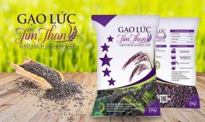 Bao pp dệt đựng bột mì