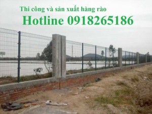 Hàng rào bẻ tam giác 2 đầu, hàng rào lượn sóng sơn tĩnh điện