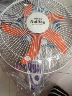 Quạt treo tường Natifan 5 cánh