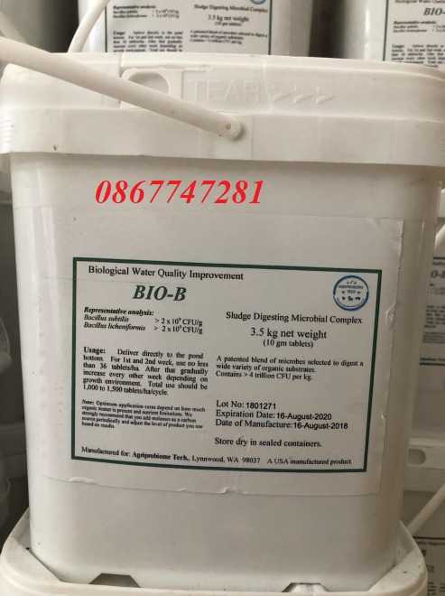 BIO-B BIOB - Men vi sinh hạt xử lý đáy ao