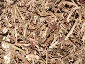 Bán cây rau mương có tác dụng thần kỳ