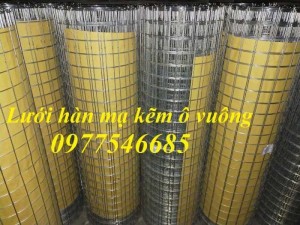 Lưới hàn mạ kẽm ô vuông mắt 25x25, 35x35, 50x50 dây 2ly,2,5ly,3ly,4ly