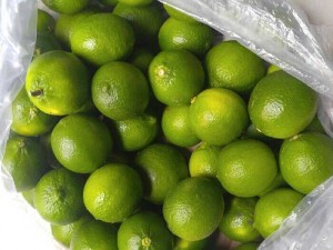 Chanh nhà vườn không thuốc trừ sâu an
