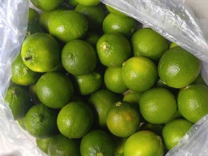 Chanh nhà vườn không thuốc trừ sâu an