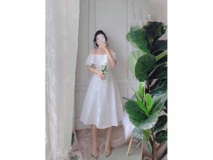 Đầm váy nữ xòe bẹt vai bèo có 3 màu TKN