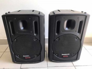 Loa Ramsa WS-AT200 bass 30