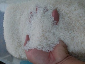 Gạo lúa mùa campuchia