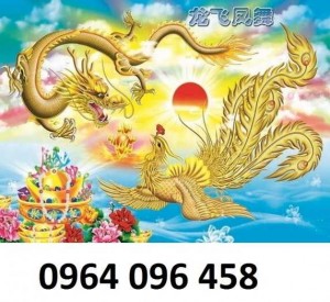 Tranh gạch 3d phong thủy rồng phụng - XMN98