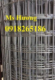 Lưới mạ kẽm phi 2 ô 25x25, 50x50, PHi 3 ô 50x50 giá tốt