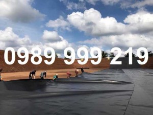 Màng Chống Thấm Hdpe 0.3zem k5x60m Giá Siêu Rẻ 2021 sunco vn sản xuất