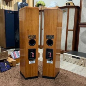 Loa TANNOY D-300 Amrican cherry