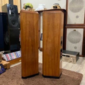 Loa TANNOY D-300 Amrican cherry