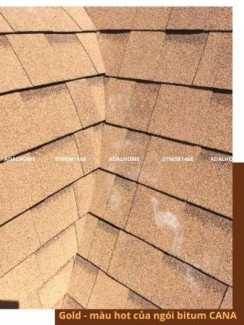 Tấm lợp bitum cana đa tầng gold - gam màu mới và được ứng dụng rộng rãi trong kiến trúc