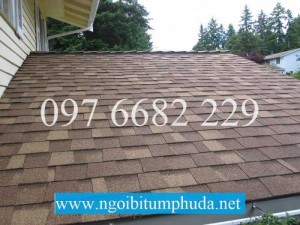 Tấm lợp đá ép nhập khẩu từ châu âu