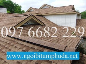 Tấm lợp đá ép nhập khẩu từ châu âu