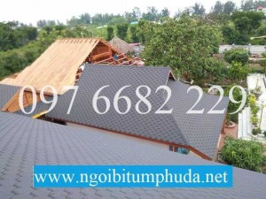 Tấm lợp đá ép nhập khẩu từ châu âu
