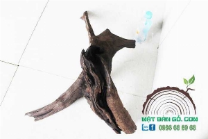 Gỗ Lũa M-04 ( 20x60 Cm Cao 30cm ) M.u.n