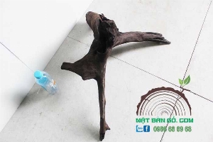 Gỗ Lũa M-04 ( 20x60 Cm Cao 30cm ) M.u.n