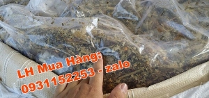 Bao jumbo đựng bắp ủ chua, cỏ ủ chua 1 bộ bao jumbo + pe ủ chua