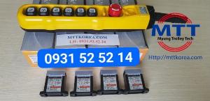 Palang cáp điện mẹ bồng con 200 tấn và 50 tấn hyundai