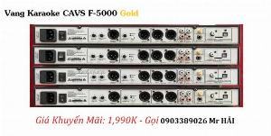 Vang Karaoke CAVS F-5000 sản phẩm chính hãng bảo hành 1 năm