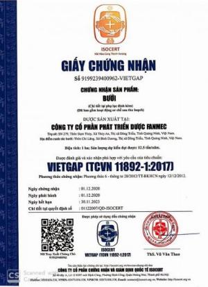 Mua dầu tỏi đen tại đà nẵng