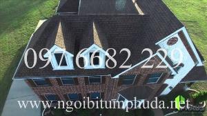 Tấm lợp bitum đá ép nhập khẩu