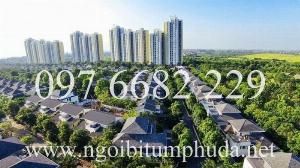 Tấm giấy dầu dán mái bê tông