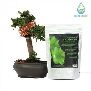 Bộ 2 túi Trà lá sen Hà Diệp Trang 100gr và Hà Diệp Liên 150gr