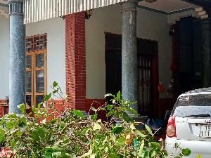 Tầm gửi cây mít mật