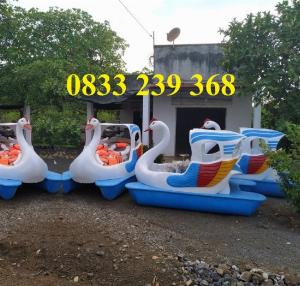 Thuyên nga đạp nước, Thiên nga đạp vịt, Thuyền đạp nước