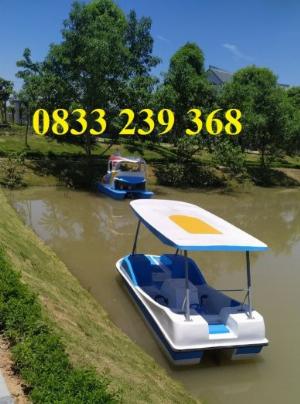 Thuyên nga đạp nước, Thiên nga đạp vịt, Thuyền đạp nước