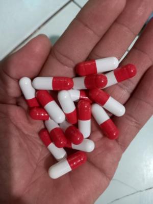 Khuôn đóng nang thủ công kèm vỏ nhộng, khuôn đóng viên nhộng cứng 100v