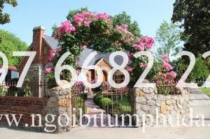 Tấm lợp SangoBuild Roofing nhập khẩu