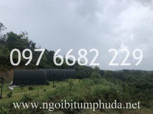 Tấm lợp SangoBuild Roofing nhập khẩu