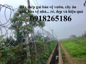 Dây thép gai hình lưỡi dao, Dây thép gai hình tròn