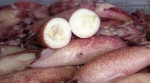 Mực trứng Bầu Thước 1 ký ưu đãi đến 3/2