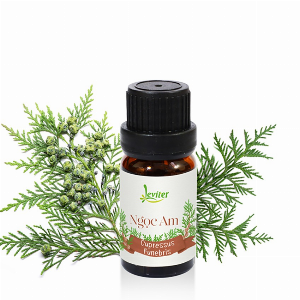 Tinh dầu gỗ ngọc am Leviter 10ml