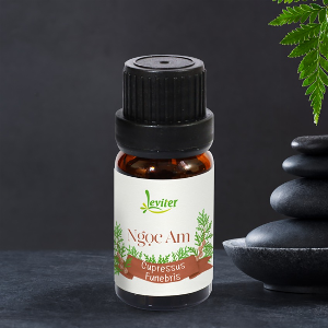 Tinh dầu gỗ ngọc am Leviter 10ml